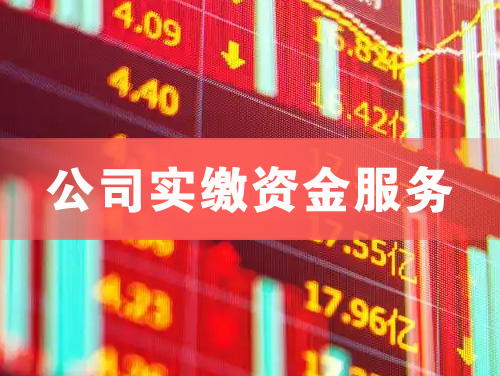吴忠公司实缴资金服务