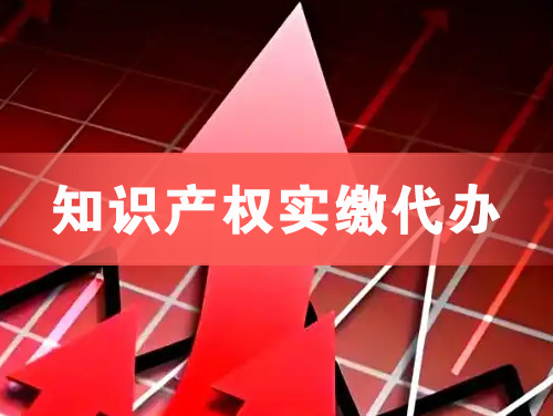 吴忠知识产权实缴资本代办